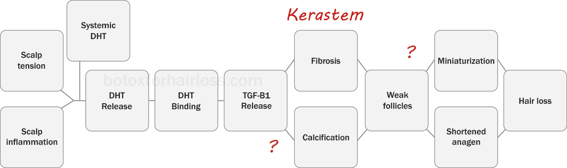 How Kerastem works