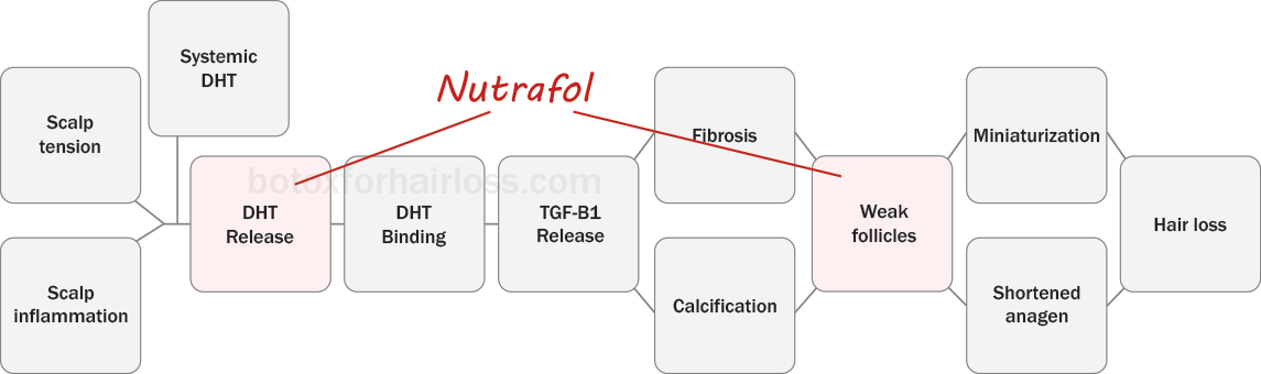 How Nutrafol works