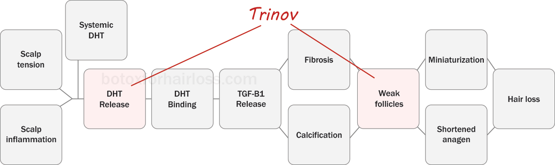 How Trinov works